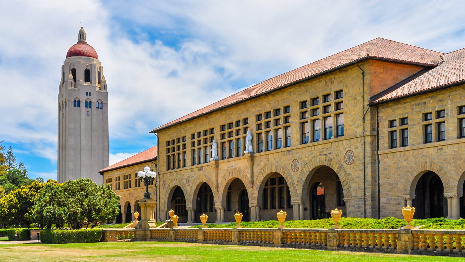 Read more about the article Stanford University