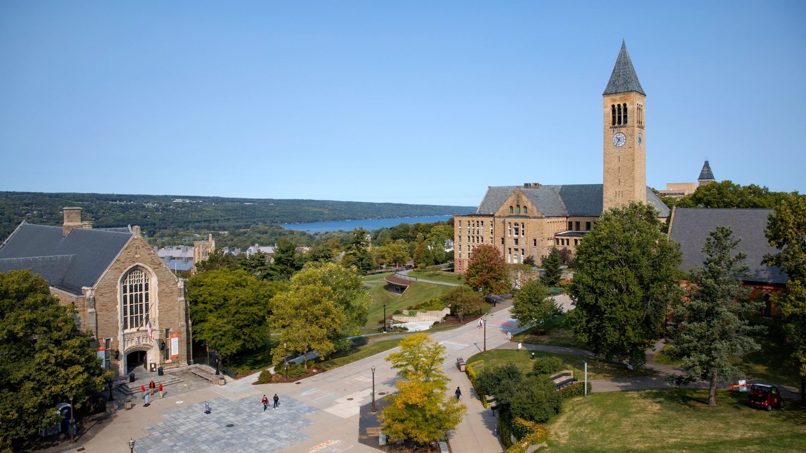 Read more about the article Cornell University